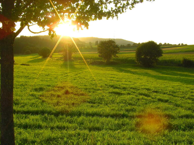 Sonnenaufgang Reiterhof Habereder