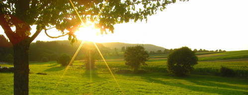 Sonnenaufgang Reiterhof Habereder