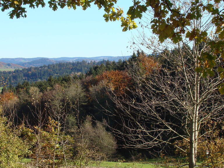 Wälder um Reiterhof Habereder