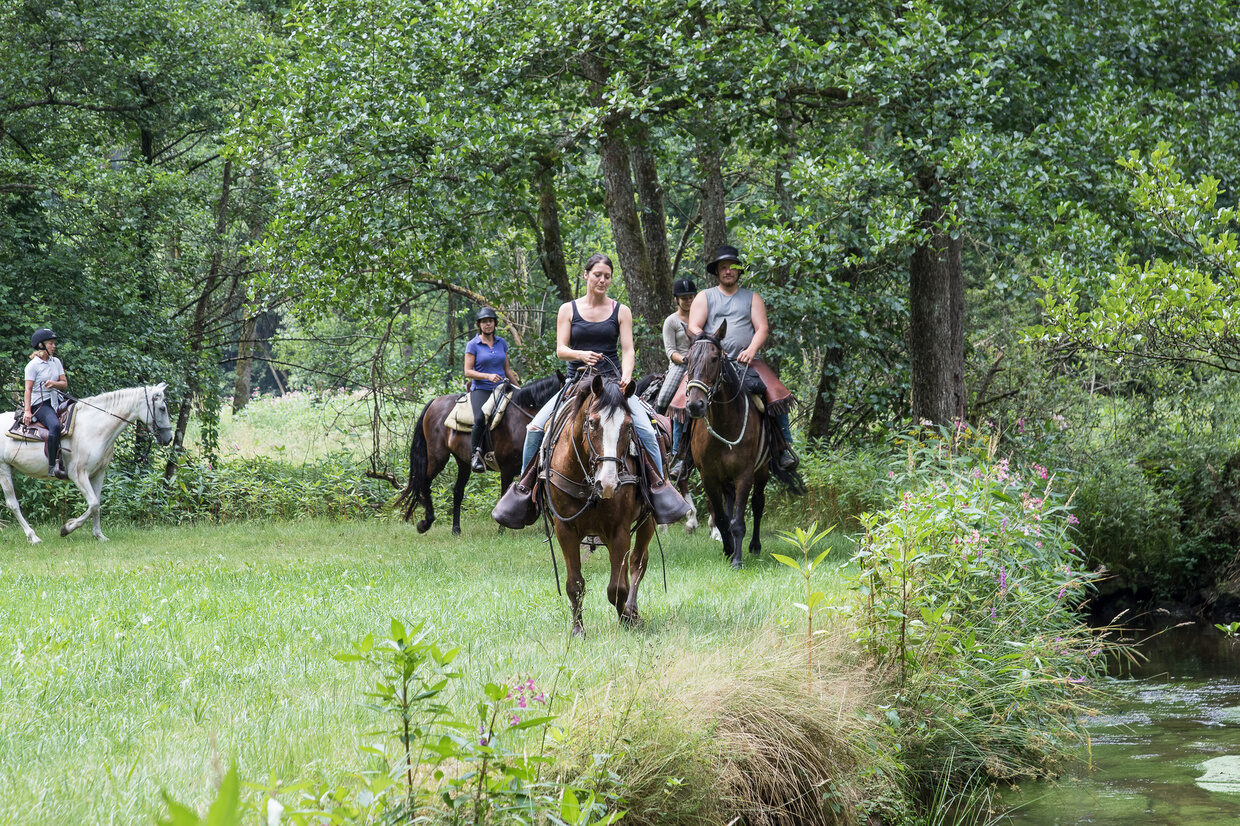 Wanderreiten im Reiterhof Habereder Schöllnach Wanderreiten Reiterhof Habereder