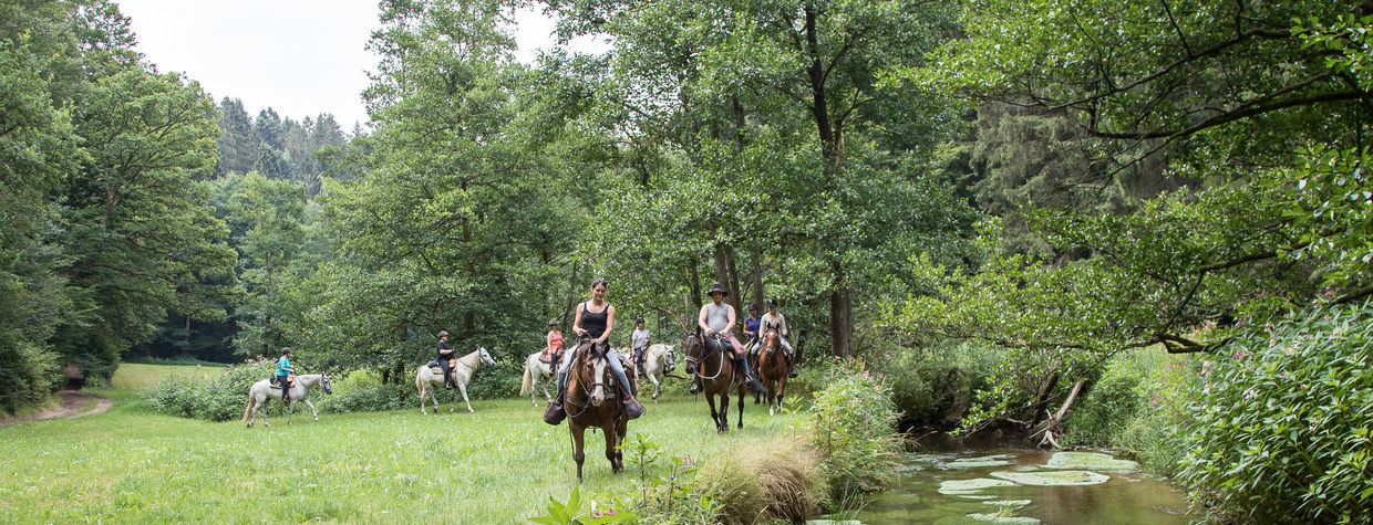 Reiten im Gelände mit Andalusiern