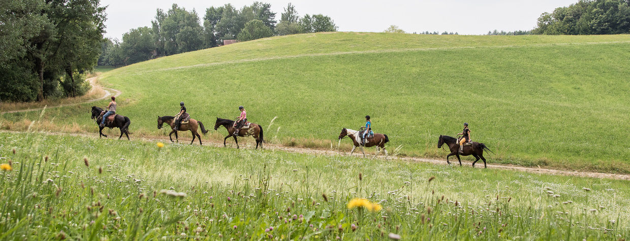 Wanderreiten im Reiterhof Habereder