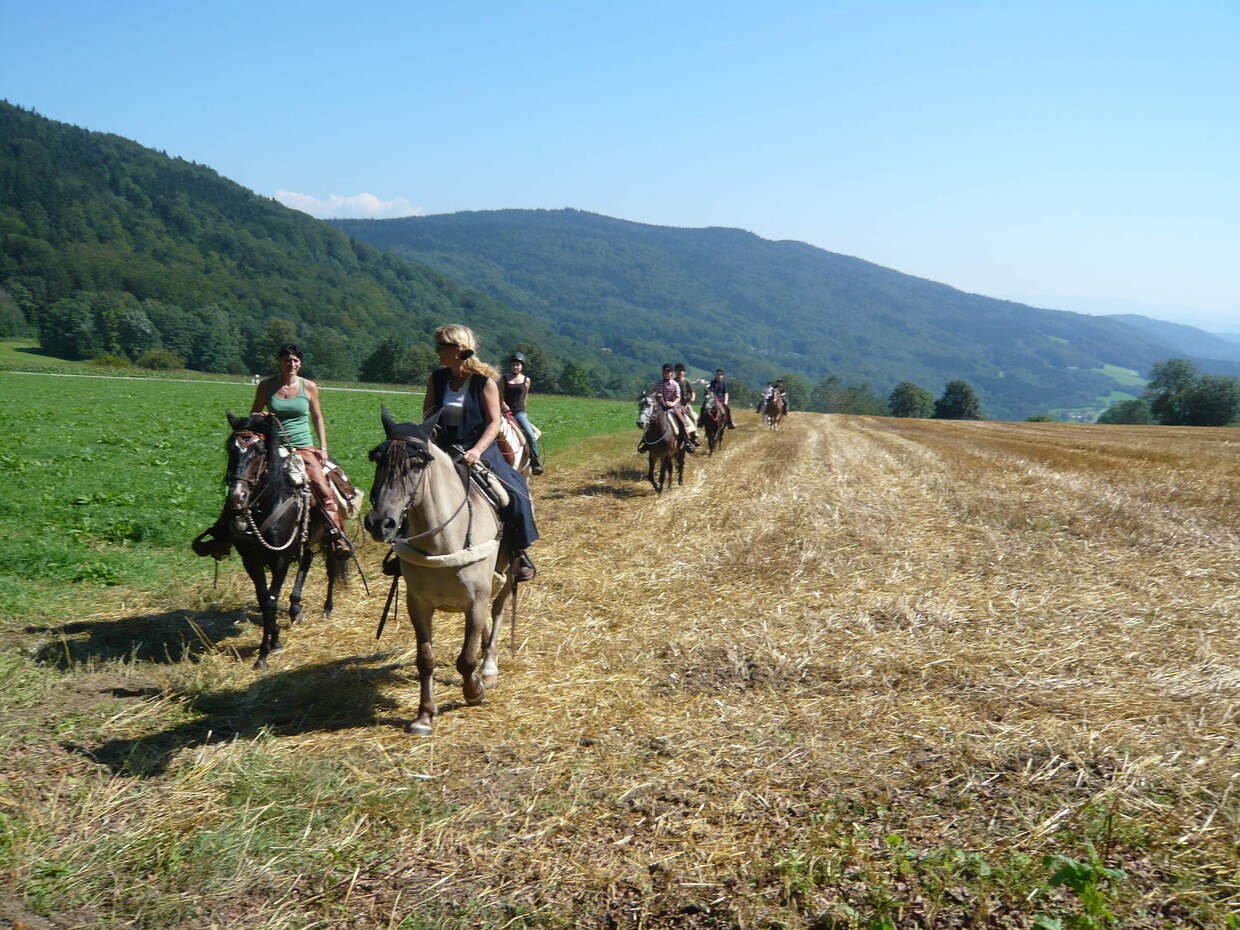 Wanderreiten am Reiterhof Habereder in Schöllnach Wanderreiten im Reiterhof Habereder