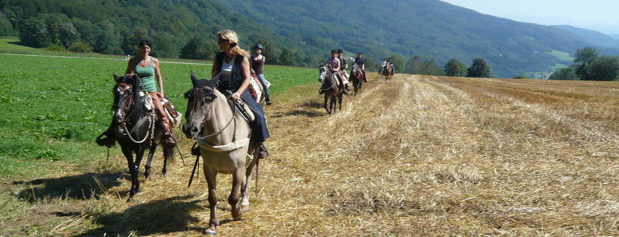 Wanderreiten im Reiterhof Habereder