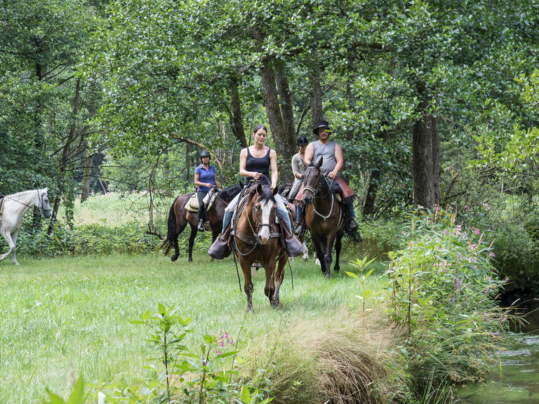 Wanderreiten Reiterhof Habereder