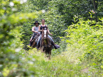 Wanderritt im Reiterhof Habereder