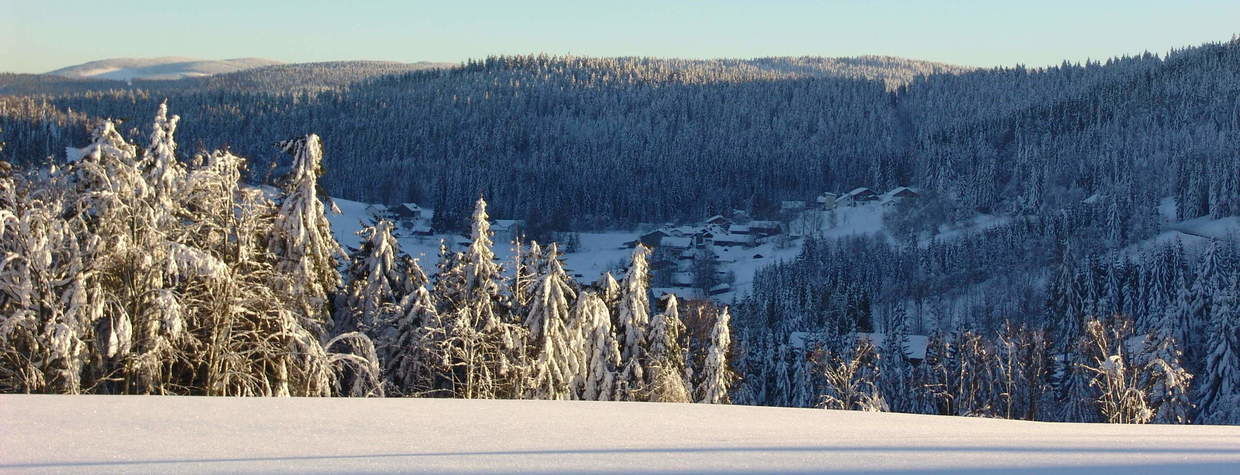 Winterlandschaft um Reiterhof Habereder