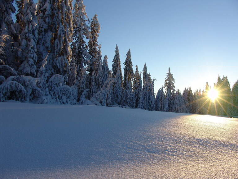 Winterlandschaft Sonnenwaldregion Schöllnach