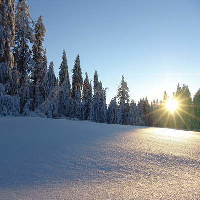 Winterlandschaft Sonnenwaldregion Schöllnach