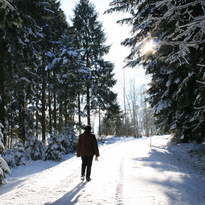 Winterwandern Sonnenwaldregion Schöllnach
